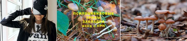 ALPHA PVP Протвино