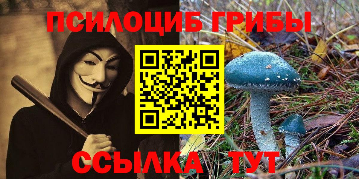 Галлюциногенные грибы мухоморы  Вход с VPN  Фролово 